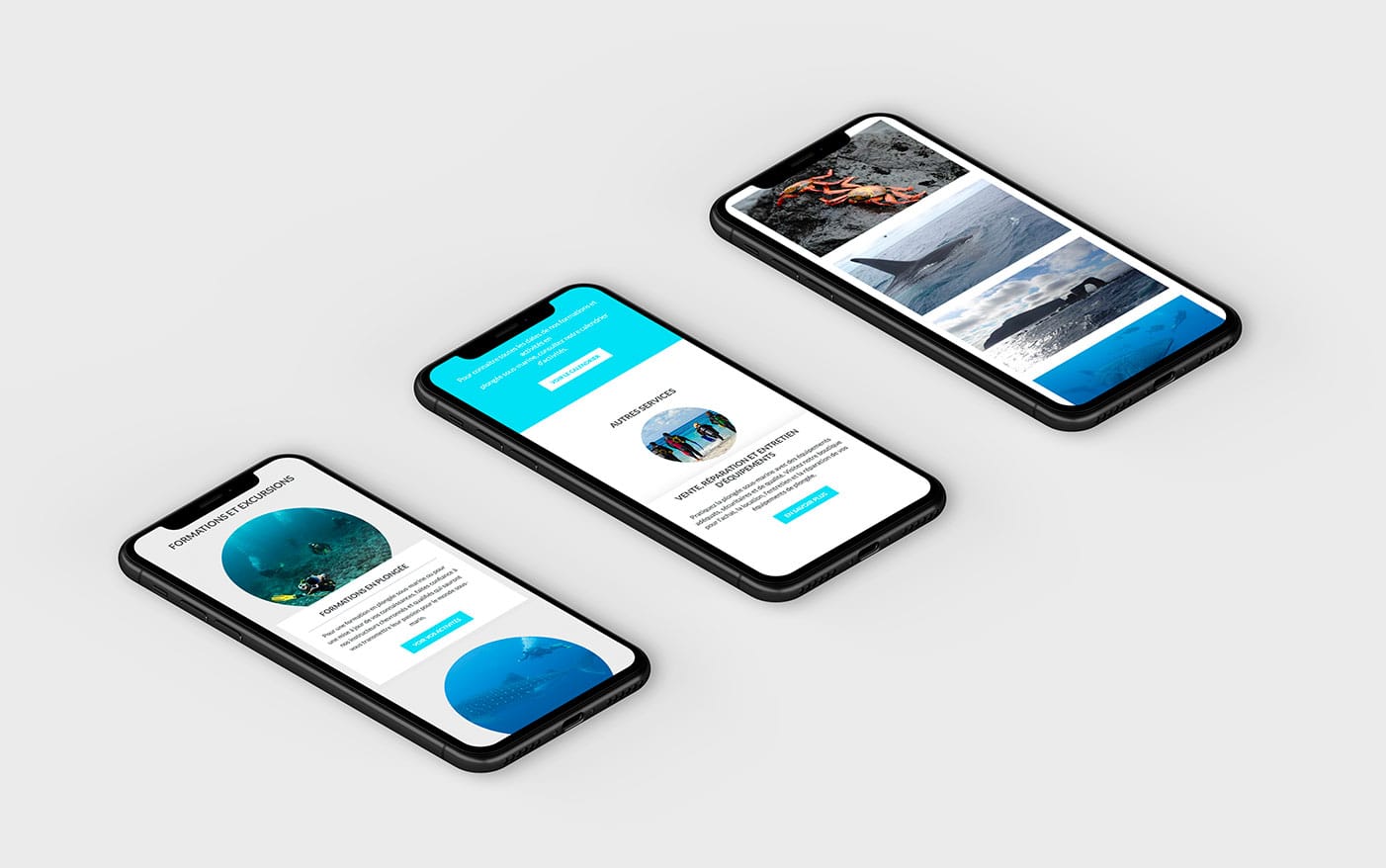 creation_web_plongee_aquamundo